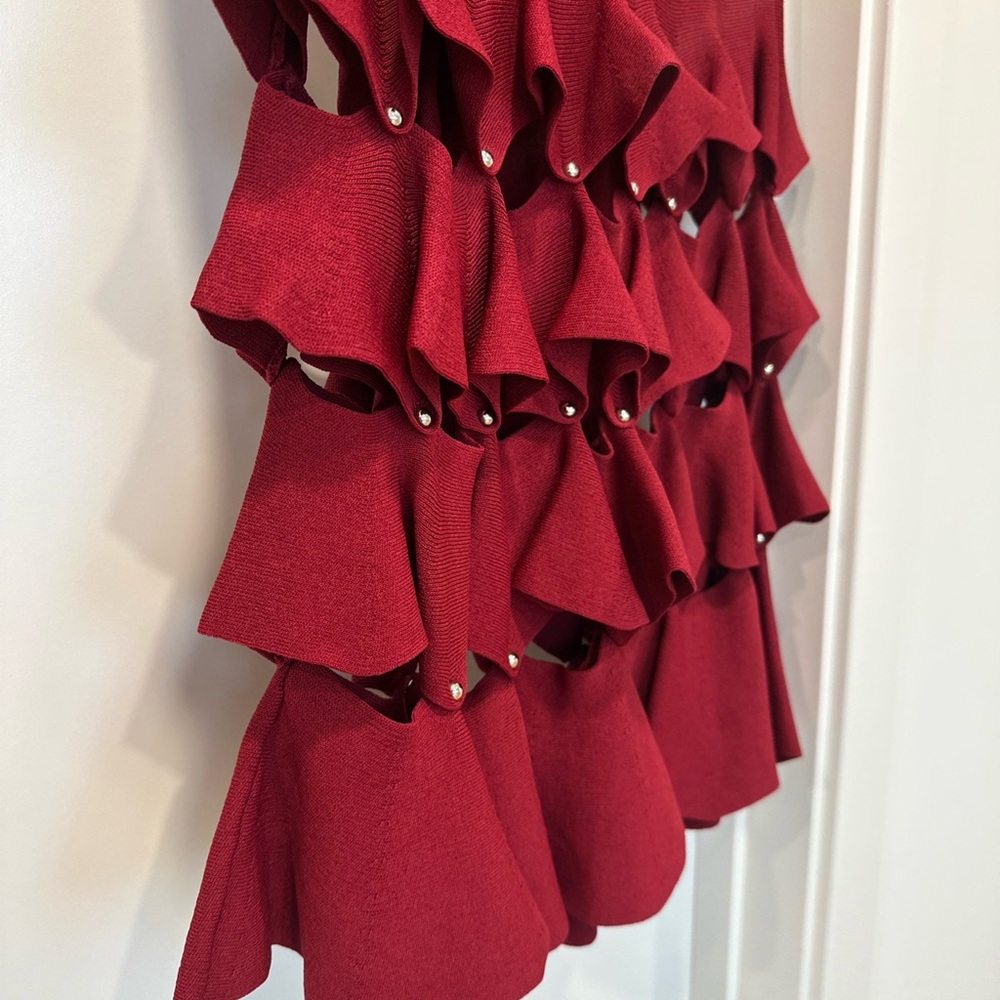 Jonathan Simkhai Red Ruffled Skirt Set - Picture 7 of 12